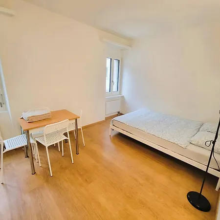 Huge 3 Center Next To Hb Apartment Zurich